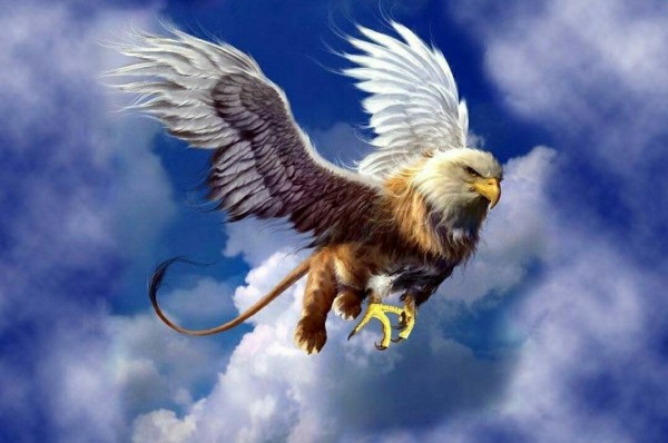 Griffin